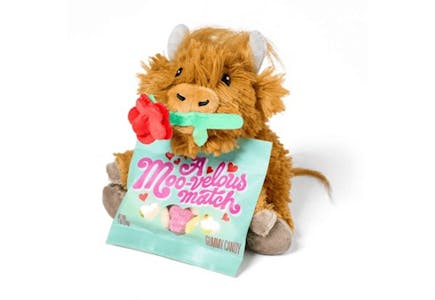 Favorite Day Valentine Plush Set