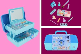 Walmart Bluey x caboodles makeup organizer