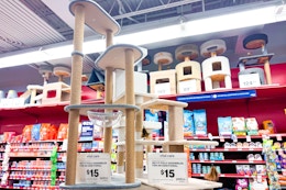 Up to 62% Off Cat Trees and More at Petco — Pay as Little as $22.49 card image