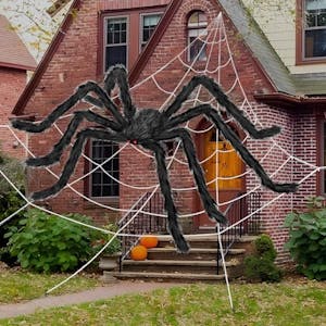 Halloween Spider Web & Giant Spider