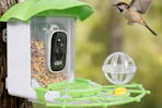 amazon-bird-feeder