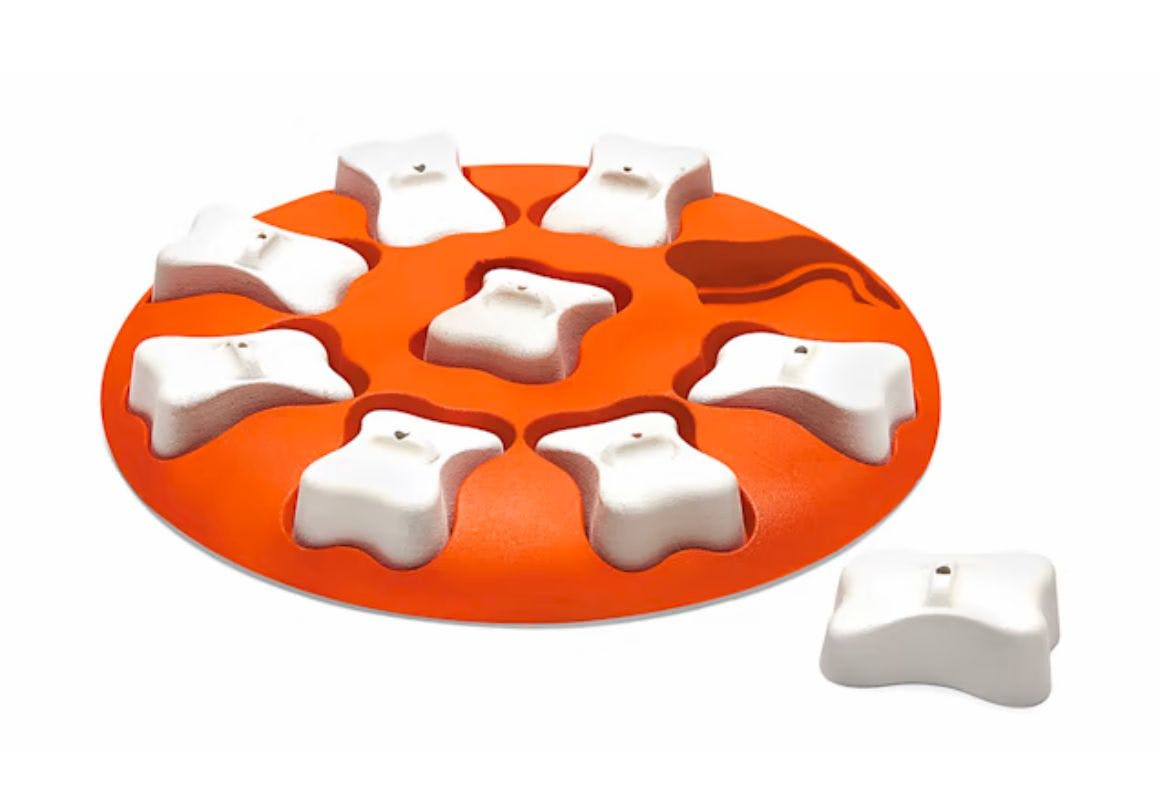 Outward Hound Puzzle Feeder