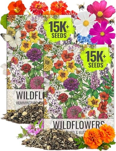 Wildflower Seed 2-Pack