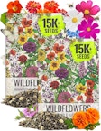 Wildflower Seed 2-Pack
