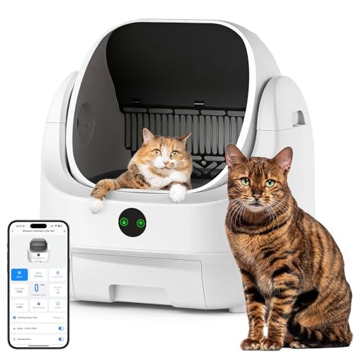 Automatic Litter Box