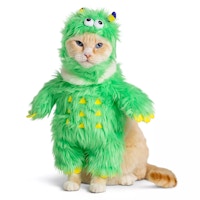 Thrills & Chills Pet Costume