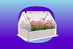 Raised Garden Bed With Mini Greenhouse, Only $23.51 on Amazon card image