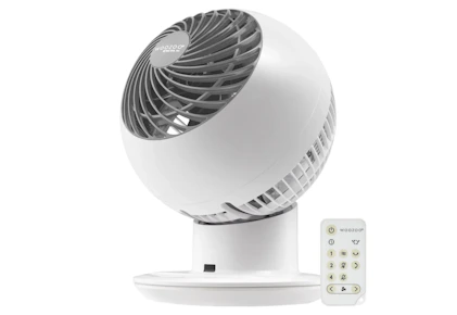 Woozoo Globe Fan