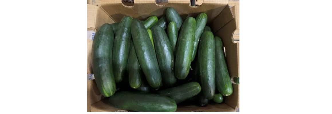 recalls cucumbers may 31