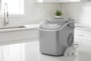 Wayfair Antarctic Star Ice Maker