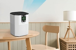 Air Purifier, Just $20 on Amazon card image