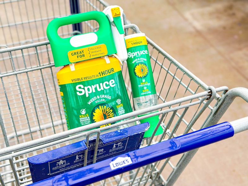 spruce lowes home depot