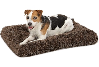 amazon pet dog bed 2022 1 1647447709 1647447709