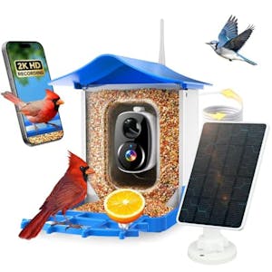 Smart Bird Feeder With Camera