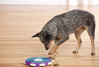 amazon outward hound treat puzzle toy 2022 2 1659702630 1659702630
