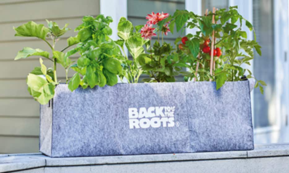 Back to the Roots Raised Garden Bed, Just $15.99 on Amazon