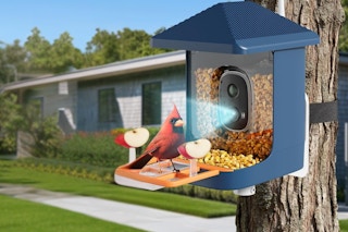 amazon smart bird feeder B0FLDJFWT2
