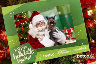 Courtesy of Petco | Facebook