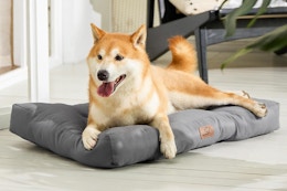 B0F9X76KRS Bedsure dog bed