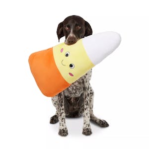 Thrills & Chills Dog Toy