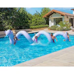 Member's Mark Inflatable Float