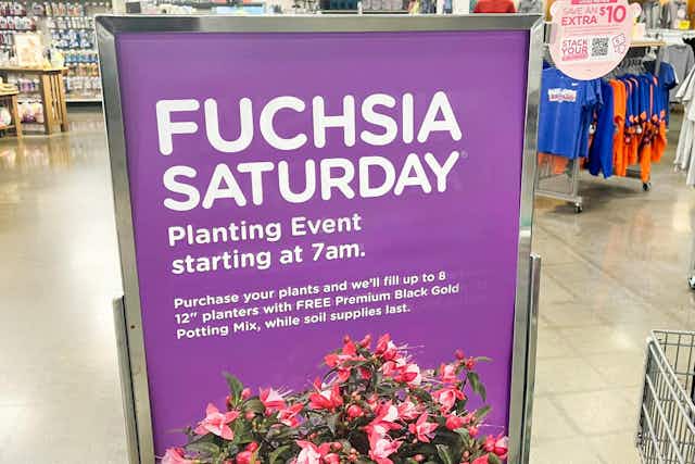 Fuchsia Saturday is April 13, 2024! Get Free Potting Soil at Fred Meyer card image