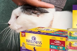 B0DNTP92VD Wellness cat 12 pack chicken salmon tuna