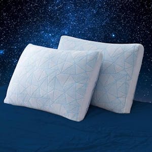Shredded Memory Foam Pillow Set