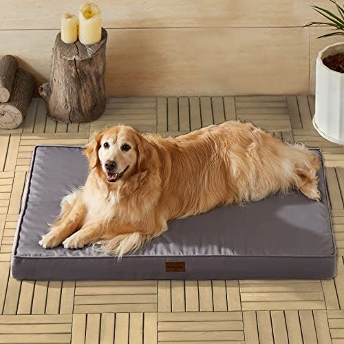 Outdoor Orthopedic Dog Bed