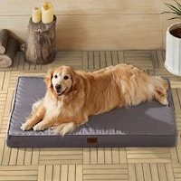 Outdoor Orthopedic Dog Bed