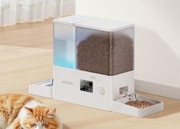a dual pet feeder with water and food next to a cat