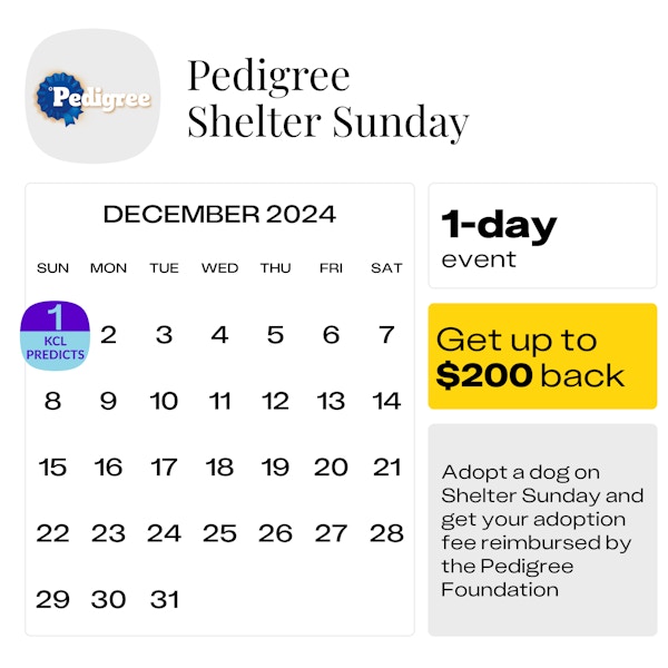 Pedigree-Shelter-Sunday