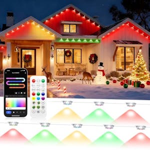 Permanent Outdoor Lights