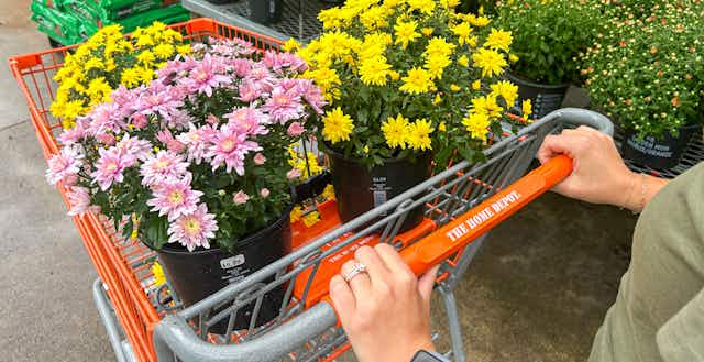 The Home Depot Labor Day Sale: What to Expect in 2024 card image