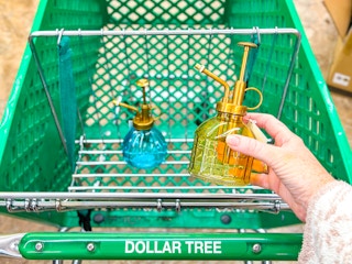 dollar tree garden mister 3