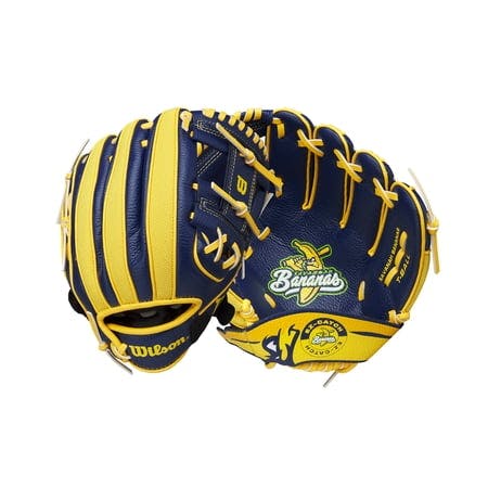Wilson A200 EZ Catch Baseball Glove