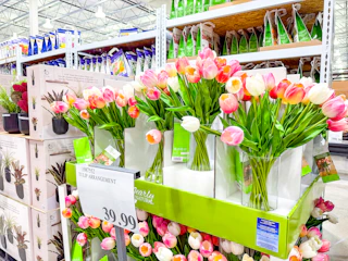 costco-plants-tulip-arrangements-