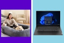 laptop dog bed collage