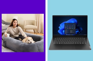 laptop dog bed collage