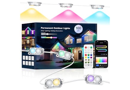 Permanent Outdoor Lights