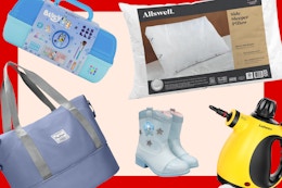 Bluey Caboodle, Allswell pillow, light purple duffel bag, toddler Bluey boots, and handheld steamer