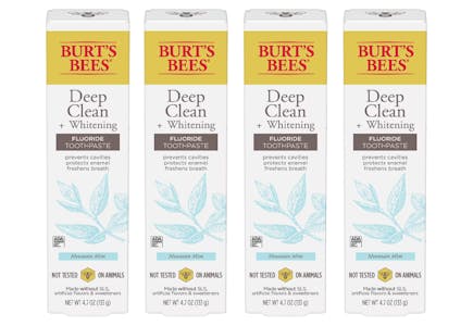 4 Burt's Bees Toothpastes