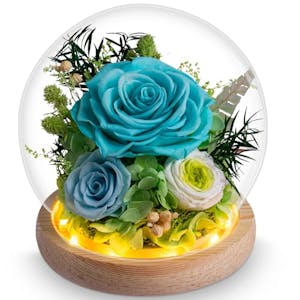 Preserved Flowers in Glass Globe
