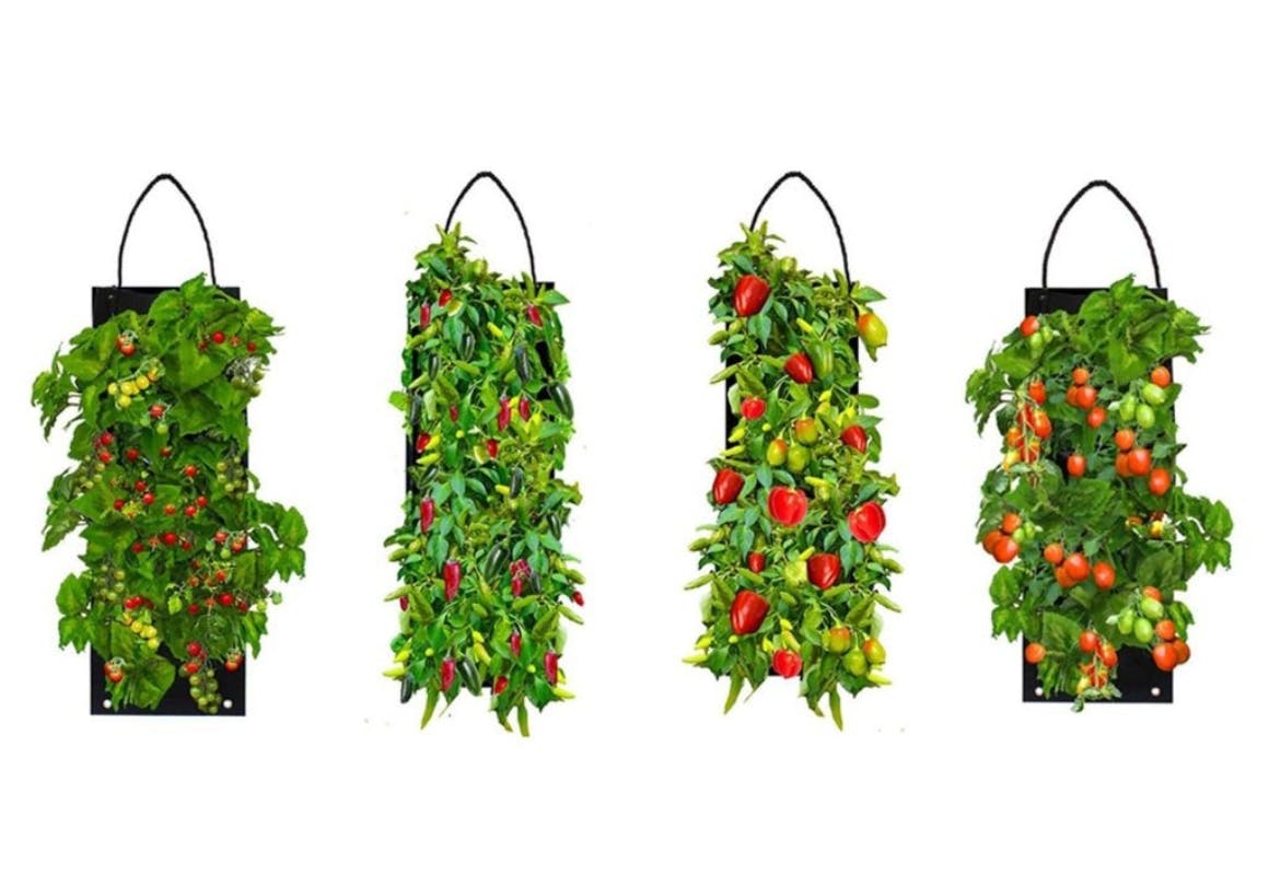 Hanging Garden Kit