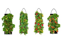 Hanging Garden Kit