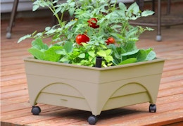Gardeners Love This $29 Highly Rated Raised Bed Kit at The Home Depot card image