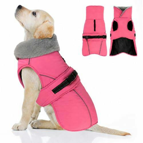 Dog Coat