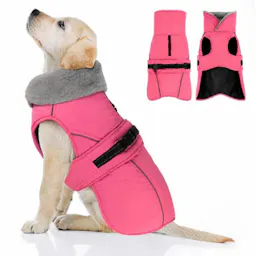 Dog Coat