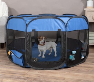 Playmate Pop-Up Playpen in a room