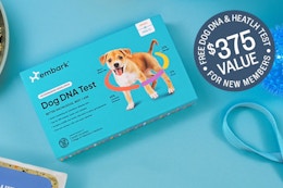 Free $199 Dog DNA Test — Hurry, This Ollie Deal Could End Any Minute card image